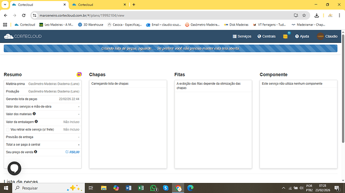 Captura de Tela (33)